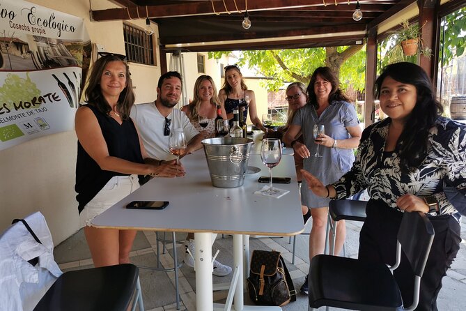 2 wineries tasting & quaint villages 6 hours wine tour in Madrid - Why this 6-hour Madrid wine escape fits real schedules