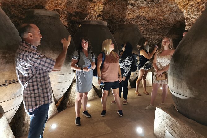 2 wineries tasting & quaint villages 6 hours wine tour in Madrid - Tastings and tapas: what you’re really buying