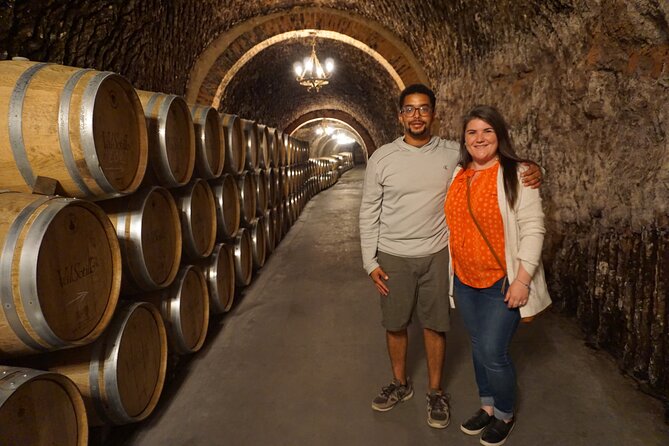 2 wineries tasting & quaint villages 6 hours wine tour in Madrid - How guides turn wine into something you can remember