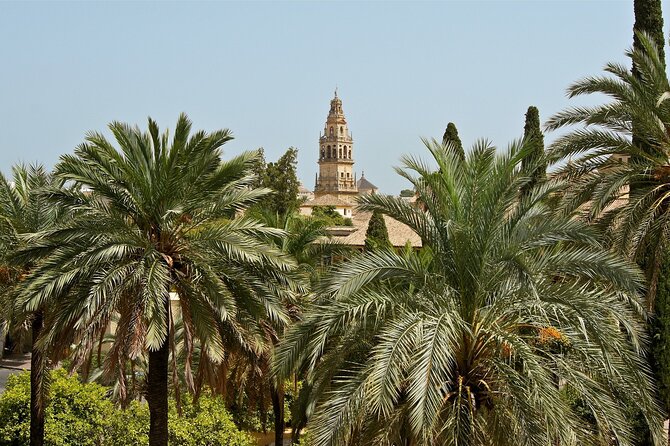 6-Day Andalusia & Toledo from Madrid - Day 4: Ronda and the White Villages drive day