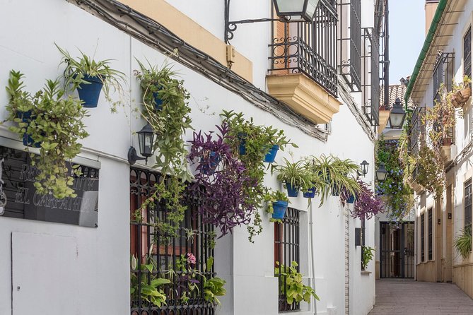 9-Day Tour: Madrid, Andalusia, Valencia & Barcelona from Madrid - Entering Madrid: Panoramic City Sights and a Low-Stress Start