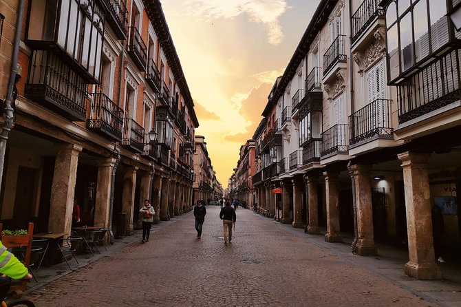 Alcala de Henares and Cervantes Guided Tour from Madrid - Timing and logistics on a 5-hour tour from Madrid