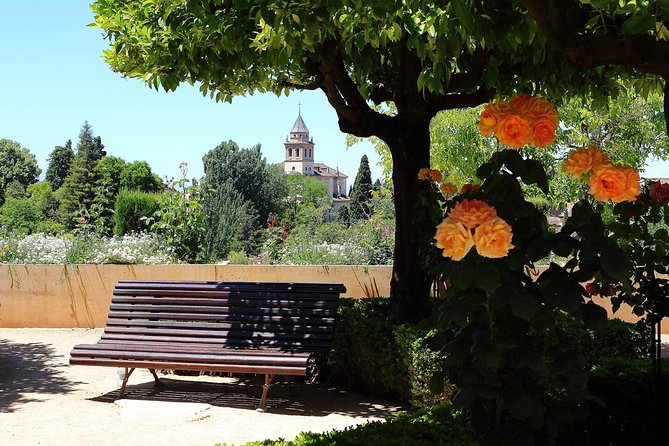 Andalusian Highlights: 6-Day Guided Tour from Madrid - Seville’s Santa Cruz and Plaza de España (plus optional Alcázar)