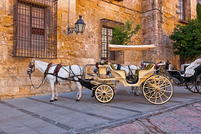 Andalusian Highlights: 6-Day Guided Tour from Madrid - Coach comfort, group size, and how the logistics really feel