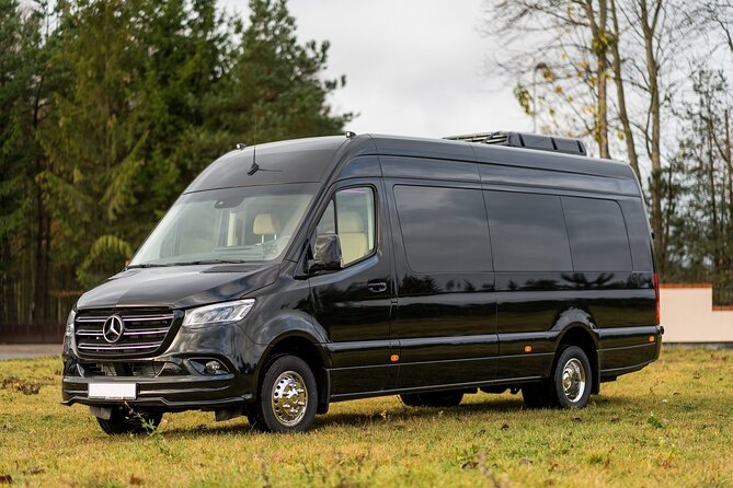 Arrival Private Transfer from MAD Airport to Madrid in a Minibus - The Minibus Experience: Comfort, Size, and Who It Fits