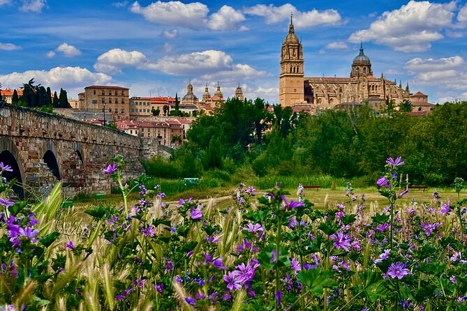Avila and Salamanca : Magic and Small Group History from Madrid - The University of Salamanca and the Cielo de Salamanca mural