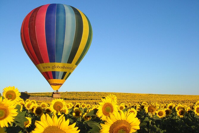 Balloon Ride Over Segovia or Toledo with Optional Transport from Madrid - The launch field experience near Segovia (and what happens before takeoff)