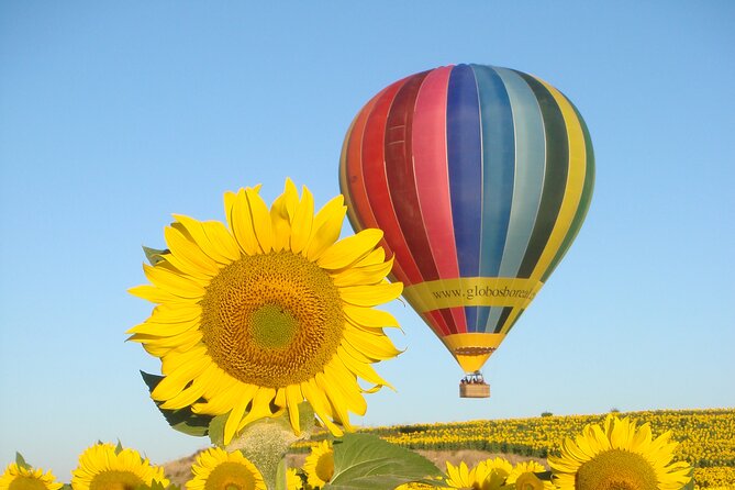 Balloon Rides in Segovia with Optional transportation from Madrid - The Early Start: Meeting Point and Pre-Flight Reality