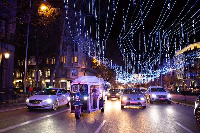 Christmas Lights Tour of Madrid in Eco Tuk Tuk Private - Plaza de Cibeles: the lions, the goddess, and Madrid’s matchday mythology