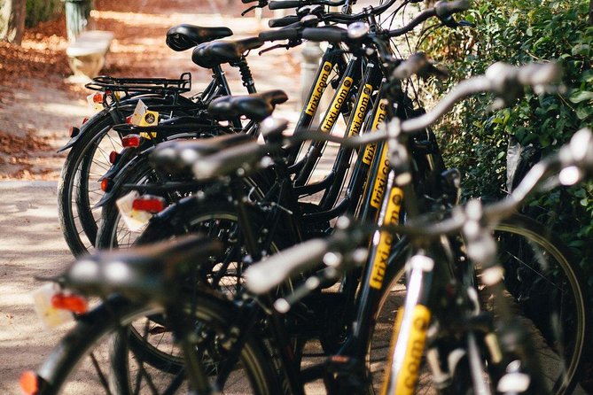 City Bike Rental with Phone Holder and Self Guided Tour - Hills, heat, and when to choose an electric bike