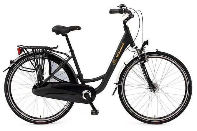 City Bike Rental with Phone Holder and Self Guided Tour - Family rides: baby seats, child seats, and kid-friendly pacing