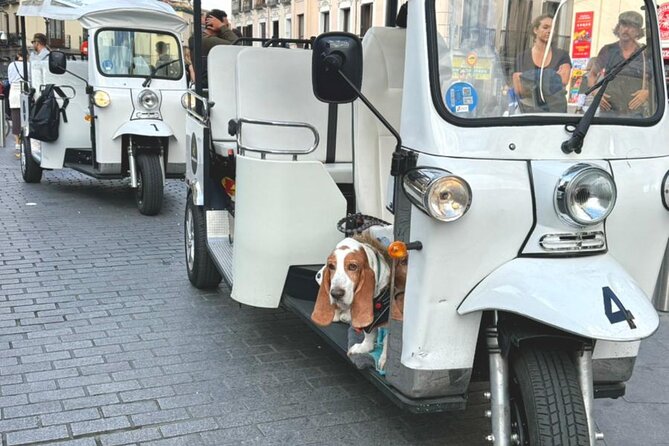 Discover Madrid in a Fun & Eco-Friendly Tuk-Tuk – Private Tour - Plaza Mayor and Barrio La Latina: Squares, Stories, and Street Energy