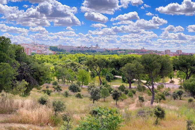 Ebike tour Madrid, green areas and panoramic views. 3 hours - Matadero Madrid: a sharp contrast from parks to city creativity