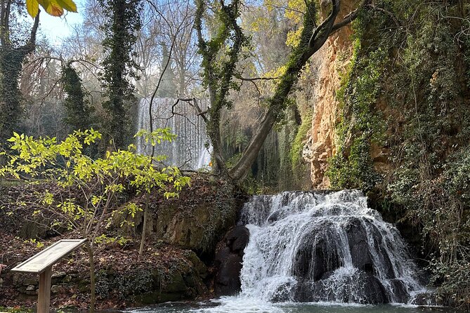 Explore the Stone Monastery and discover Sigüenza from Madrid - Calatayud area lunch stop in Nuevalos: what’s included and what’s on you