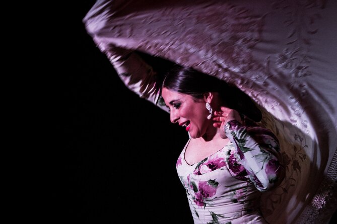 Flamenco Show at Café Ziryab: Madrid - Should You Book Café Ziryab Flamenco?