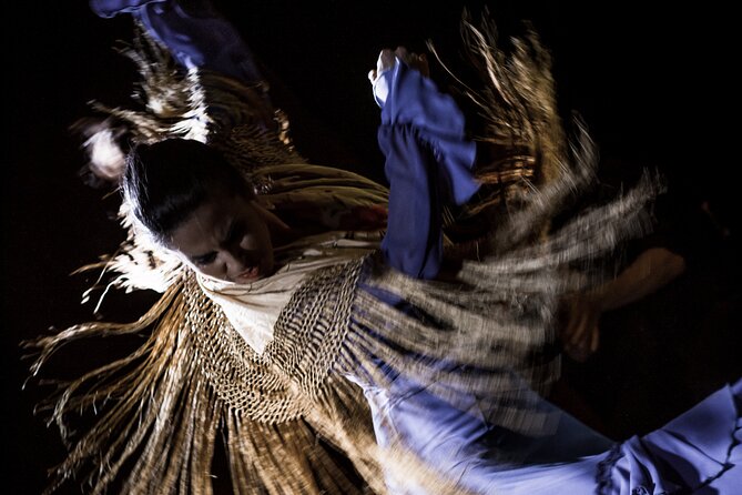 Flamenco Show at Café Ziryab: Madrid - Flamenco Performance: What to Watch for on Stage