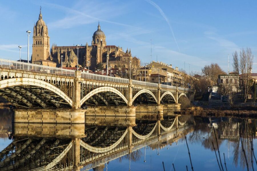 From Madrid: Ávila and Salamanca Guided Day Trip - Ávila’s Medieval World: Streets, San Vicente, Ávila Cathedral, and Wall Views
