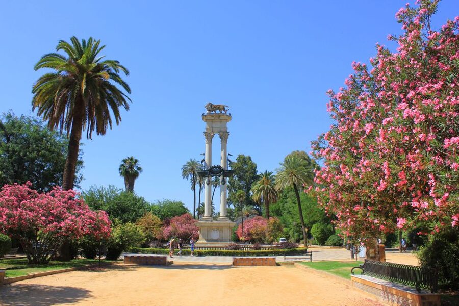 From Madrid: Best of Sevilla Day Tour with Train Transfers - Real Alcázar, Giralda, and Seville Cathedral: what you see outside (and what to plan next)