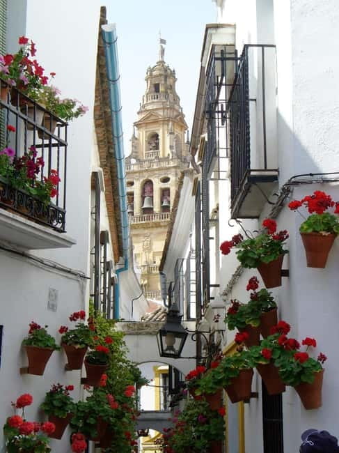 From Madrid: Cordoba and Mosque Day Trip by High-Speed Train - First stops on the walk: Roman Bridge, Royal Stables, and courtyards