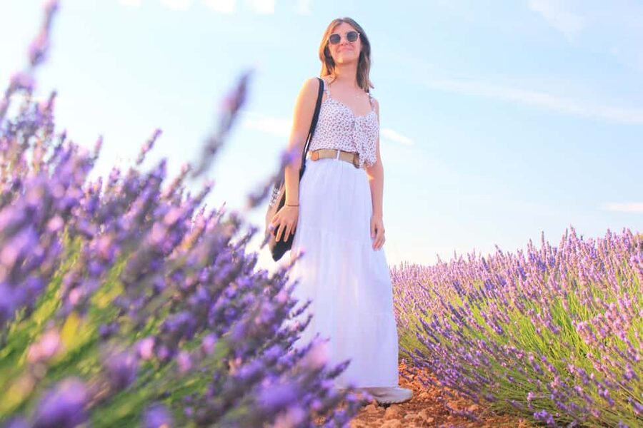 From Madrid: Day Trip to Brihuega Lavender Fields - Key things I’d plan around