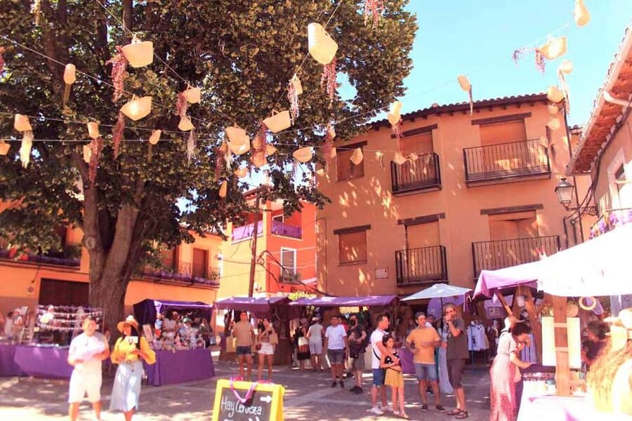 From Madrid: Day Trip to Brihuega Lavender Fields - Brihuega old town: walls, castle, and lavender-season streets