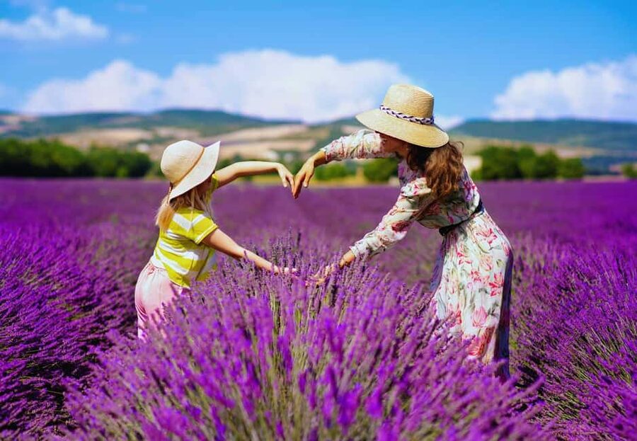 From Madrid: Day Trip to Brihuega Lavender Fields - Price and value: is $56 worth a full day from Madrid?