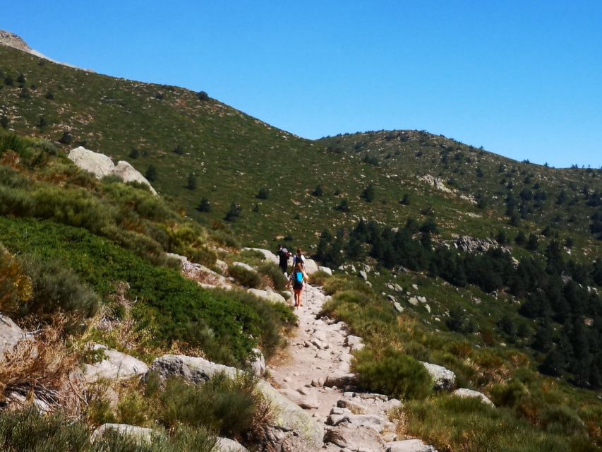 From Madrid: Day Trip to Guadarrama National Park - Navacerrada lunch break: eat first, then go back upstairs