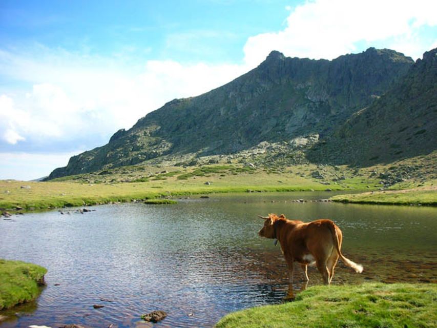 From Madrid: Day Trip to Guadarrama National Park - Meeting point and getting started: Naturanda Tourist Office near Pl. de España