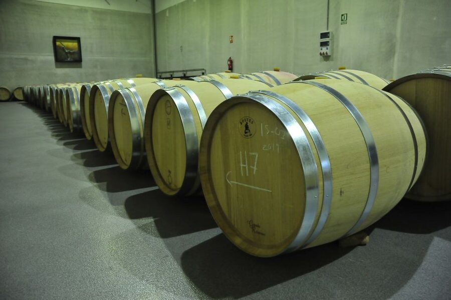 From Madrid: Ribera del Duero Tour of 3 Wineries w/ Tastings - Stop 1 and Stop 2: Aranda de Duero wineries that show modern wine thinking