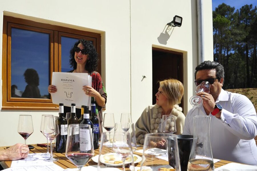 From Madrid: Ribera del Duero Tour of 3 Wineries w/ Tastings - What you’ll actually taste: why 8+ wines is a smart format