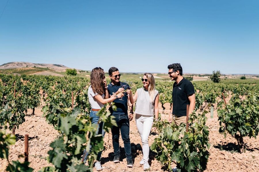 From Madrid: Ribera del Duero Winery and Segovia Tour - Key highlights worth planning around