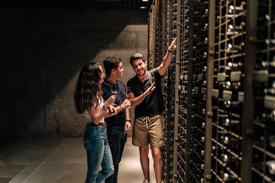 From Madrid: Ribera del Duero Winery and Segovia Tour - Segovia Gets Three Icons: Aqueduct, Cathedral, Alcázar