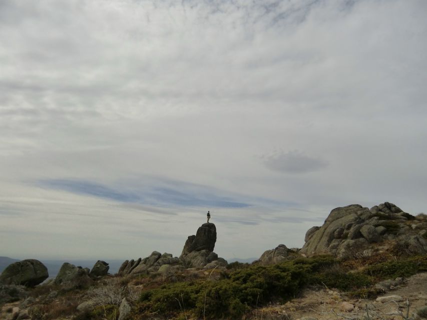 From Madrid: Sierra de Guadarrama Hiking Day Trip - Your main event: a 4-hour guided hike in the national park