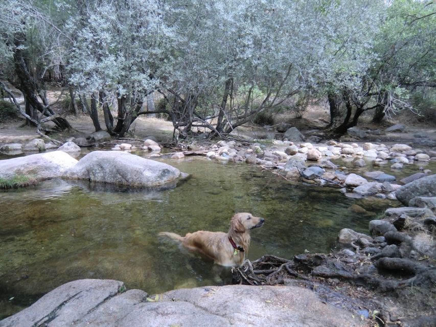 From Madrid: Sierra de Guadarrama Hiking Day Trip - What’s included (and why it’s more useful than it sounds)