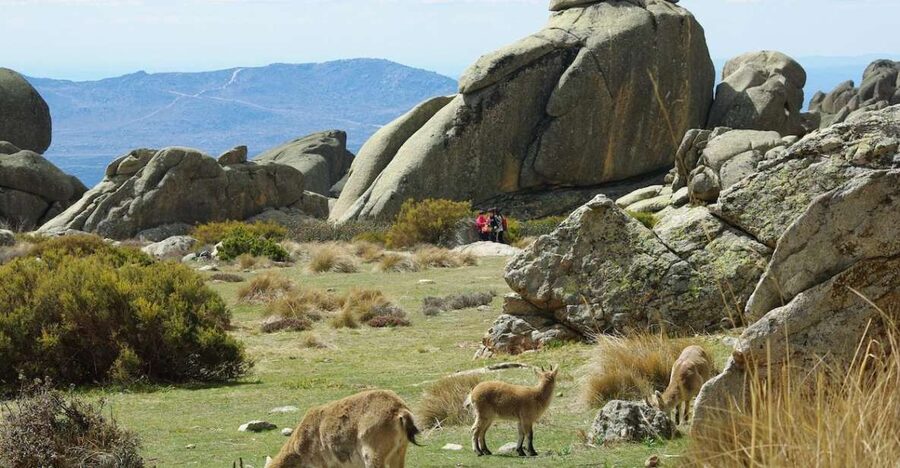 From Madrid: Sierra de Guadarrama Hiking Day Trip - The Jeep/SUV drive: what 45 minutes buys you