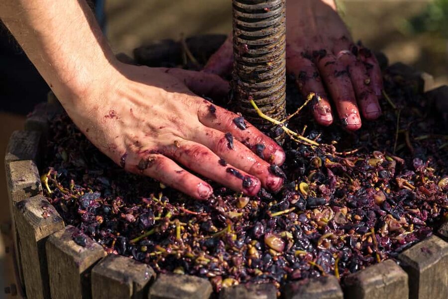From Madrid to Ribera del Duero: Hidden Vineyards and Towns - Key Points That Matter Before You Go