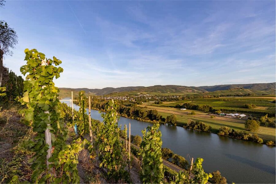 From Madrid to Ribera del Duero: Hidden Vineyards and Towns - Who This Tour Fits Best (and Who Might Feel Off-Tempo)