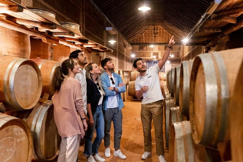 From Madrid: Toledo Guided Tour & Winery Visit with Tasting - Key Points I’d Prioritize