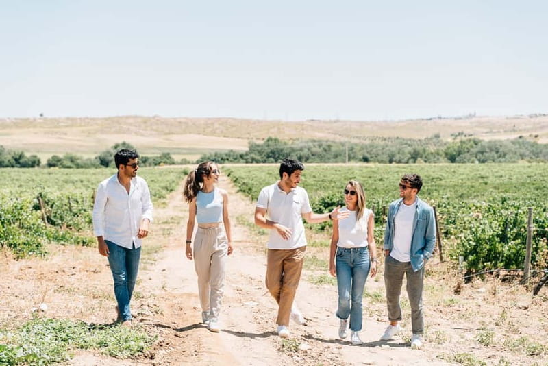 From Madrid: Toledo Guided Tour & Winery Visit with Tasting - Toledo Free Time (105 Minutes): How to Use It Without Stress