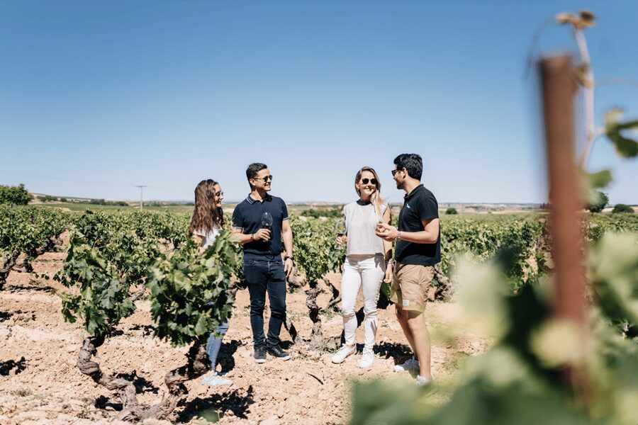 From Madrid: Traditional Villages, Winery Tour & Tapas Lunch - Key highlights worth planning for