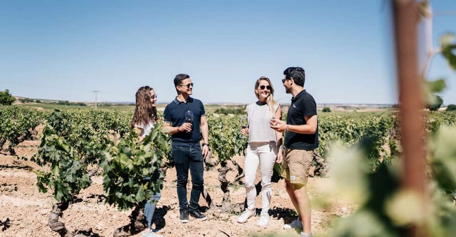 From Madrid: Traditional Villages, Winery Tour & Tapas Lunch - The winery payoff: Bodega Vinas de El Regajal and its farming story