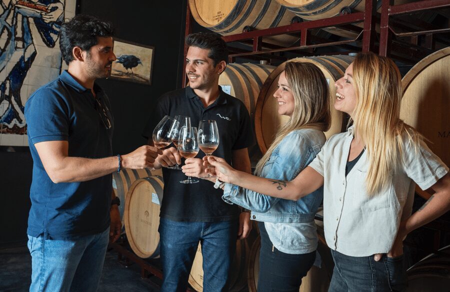 From Madrid: Traditional Villages, Winery Tour & Tapas Lunch - Who should book this (and who should skip it)