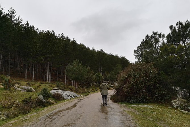 Full-Day Private Guided Tour to Guadarrama National Park - Trikke in the national park: fast, fun, and practical