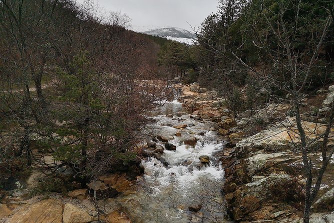 Guadarrama National Park from Madrid - Getting There: Where You Meet and How the Van Ride Works