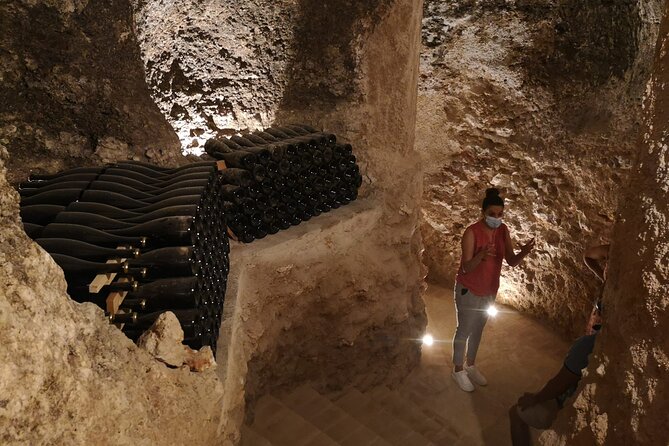 Guided Madrid Countryside Wine Tasting & Winery Tour - The guided tasting: how pairing advice makes the wine click