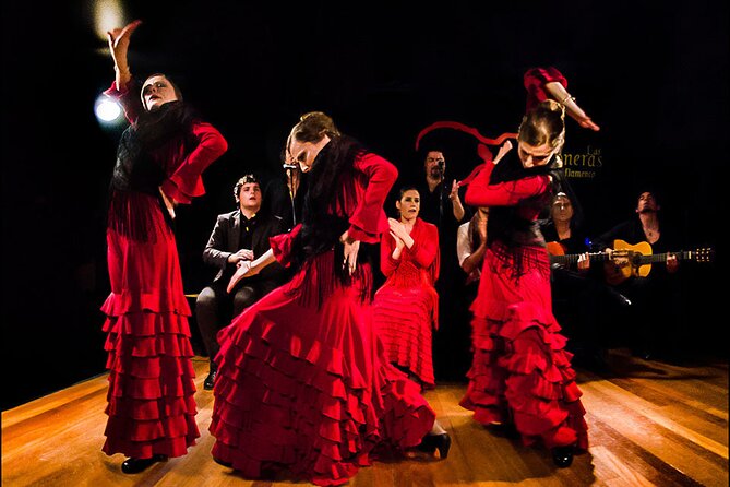 Guided Tapas and Flamenco in Madrid - Small practical tips for Madrid tapas, flamenco, and night owls