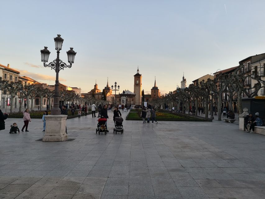 Half-Day Trip from Madrid: Alcalá de Henares & Winery Visit - Pace, Timing, and Meeting Point Reality Check
