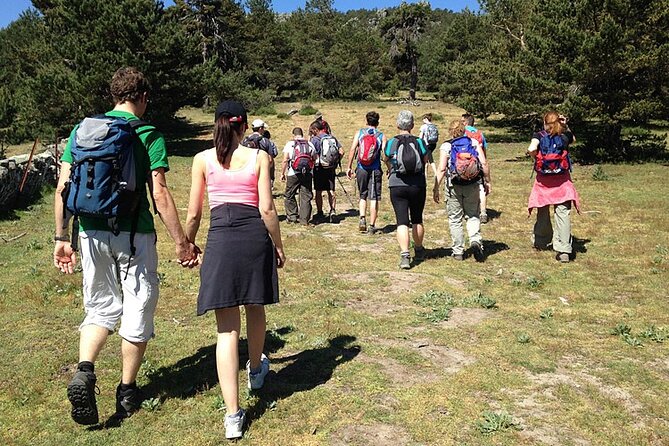 Hiking in Madrid National Park with Transport - The guide experience: English-speaking, certified, and flexible