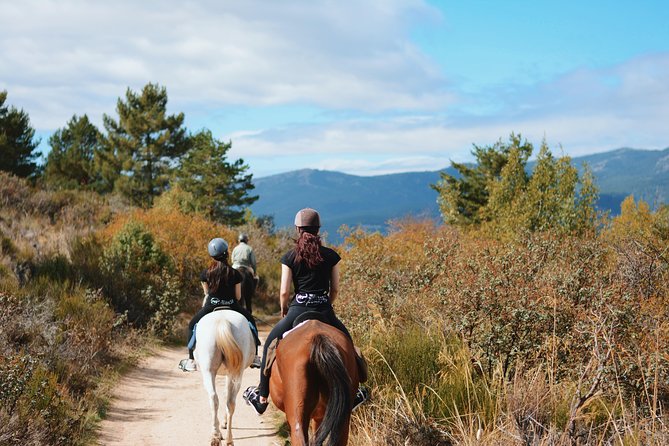 Horse Riding Madrid Natural Park - What’s Included (and What You Must Bring)
