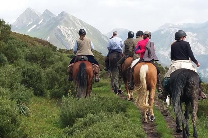 Horse Riding Madrid Natural Park (long Trip) - Quick Hits Before You Go